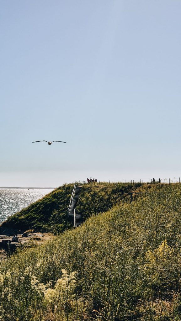 Suomenlinna sea fortress with stunning coastal views, summer day in Finland.