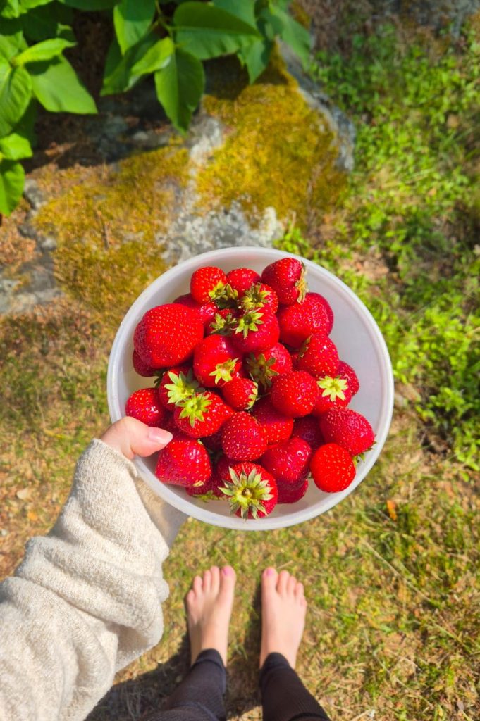 13 Traditional Summer Foods in Finland You Need to Try
