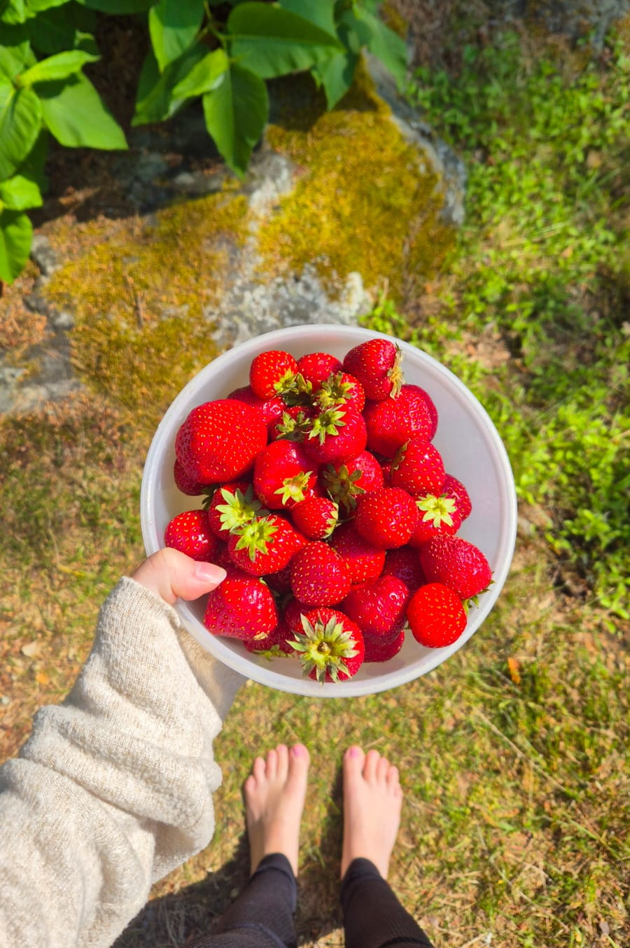 13 Traditional Summer Foods in Finland You Need to Try