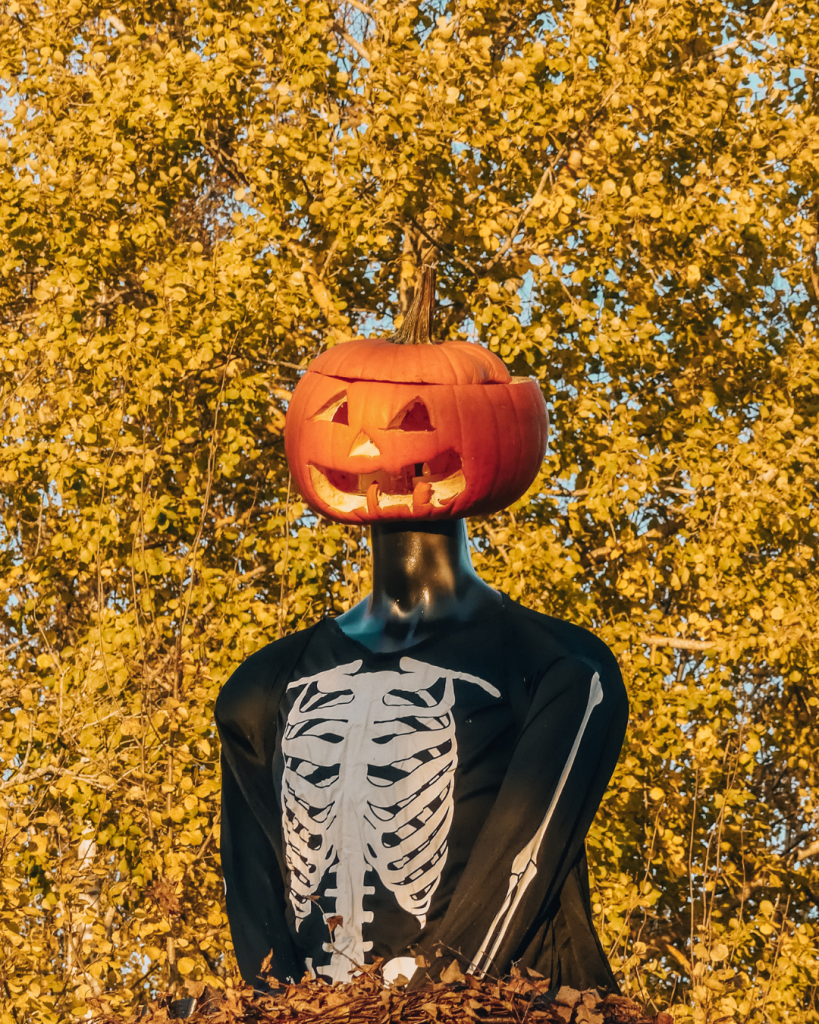 Pumpkin decoration at a pumpkin patch in Salo, Finland, during autumn.