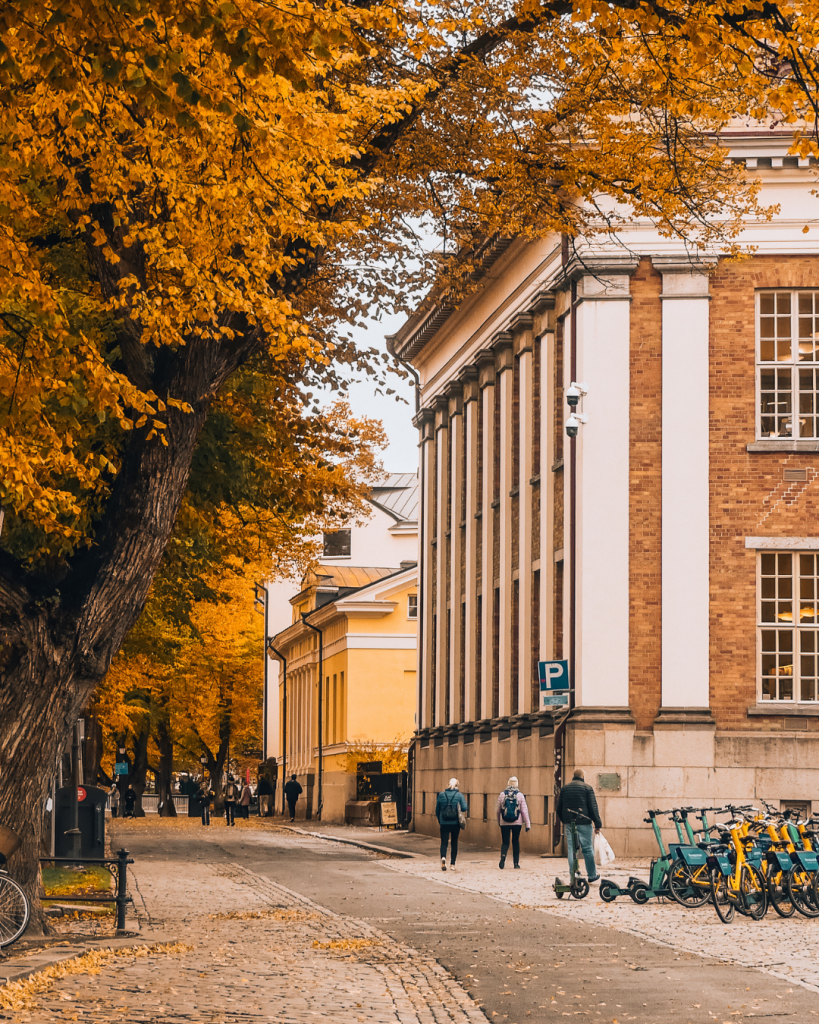 Colorful autumn trees lining a street in Turku, Finland.