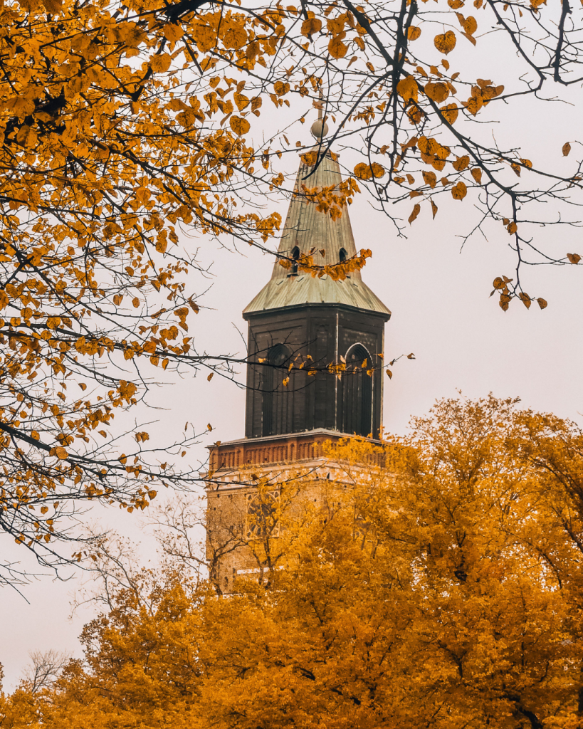 Turku Cathedral surrounded by colorful autumn trees in Turku, Finland.