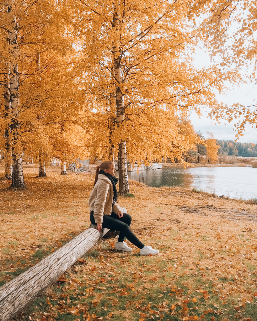 Person sitting in nature in the Turku Archipelago, surrounded by colorful autumn trees and foliage.