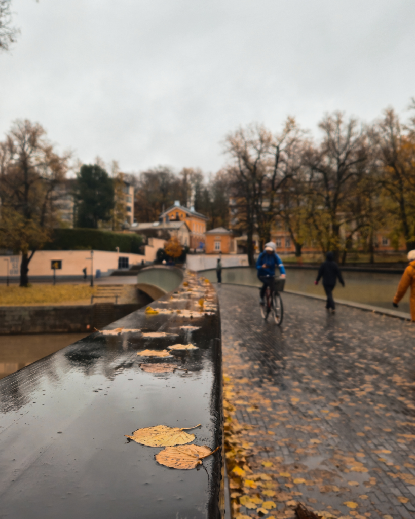 Autumn view of the Aura River in Turku on a rainy, overcast day, with colorful trees along the waterfront.