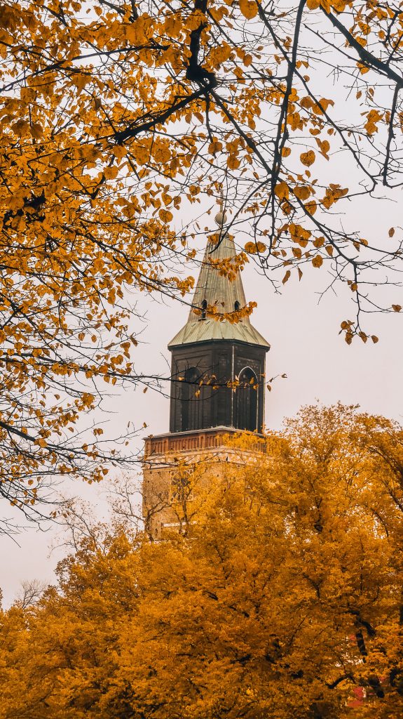 Turku Cathedral in fall, Finland, with autumn foliage in the foreground.