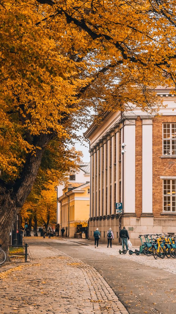 The ultimate guide for finnish fall.