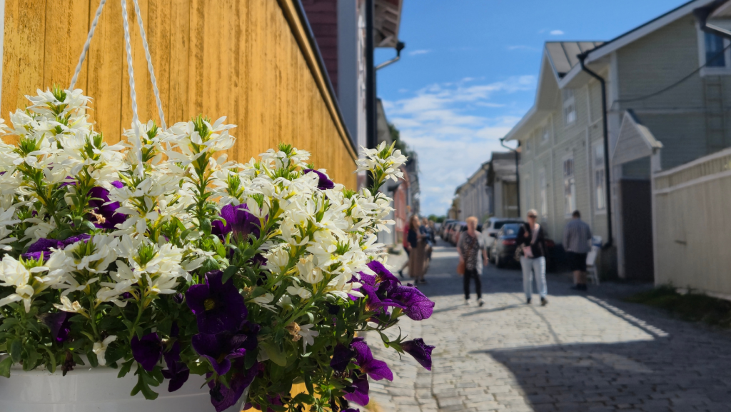 Colourful wooden houses in Old Rauma, a UNESCO World Heritage Site in Finland. 