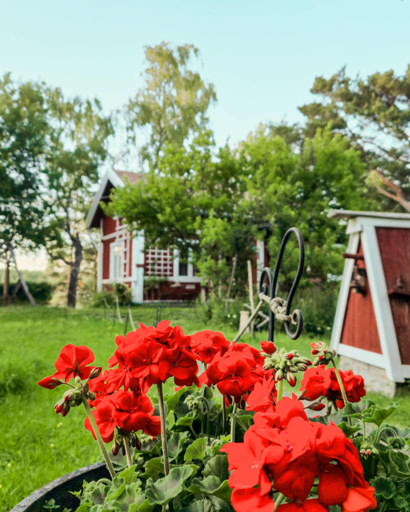 Peaceful natural surroundings at Herrankukkaro in Southwest Finland.