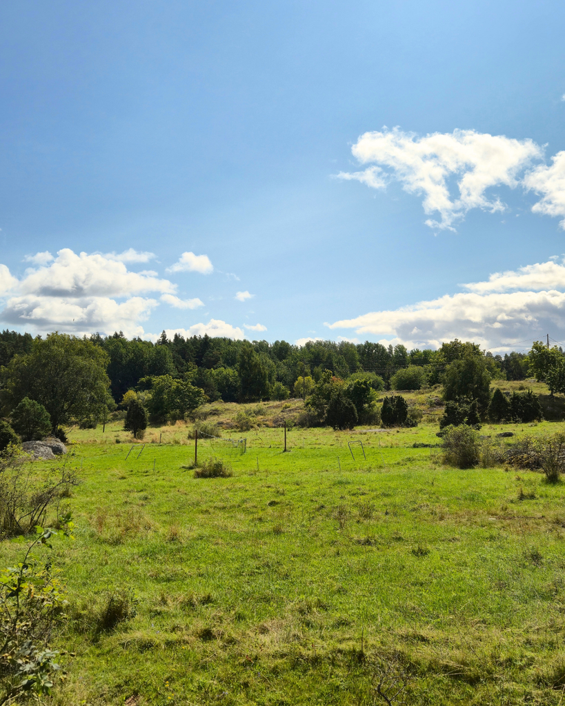 Scenic landscape on Seili Island in the Finnish Archipelago on a summer day.