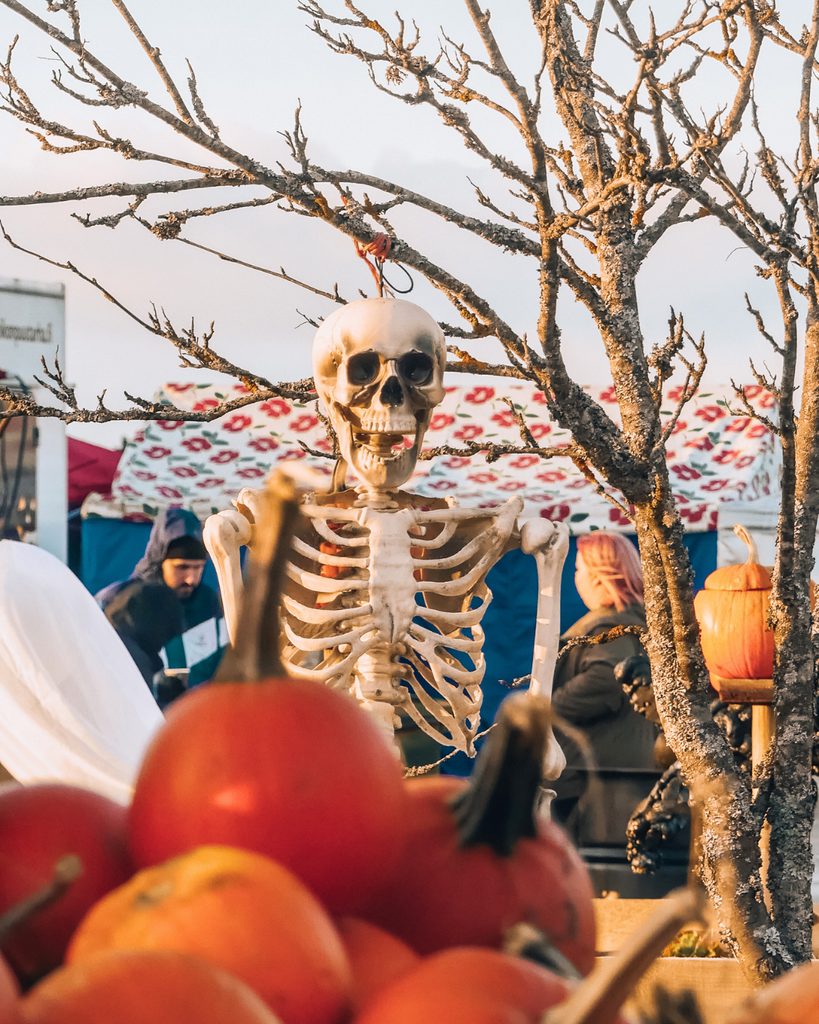 Skeleton Halloween decoration at Salo Pumpkin Park in Finland during Salo Pumpkin Weeks.