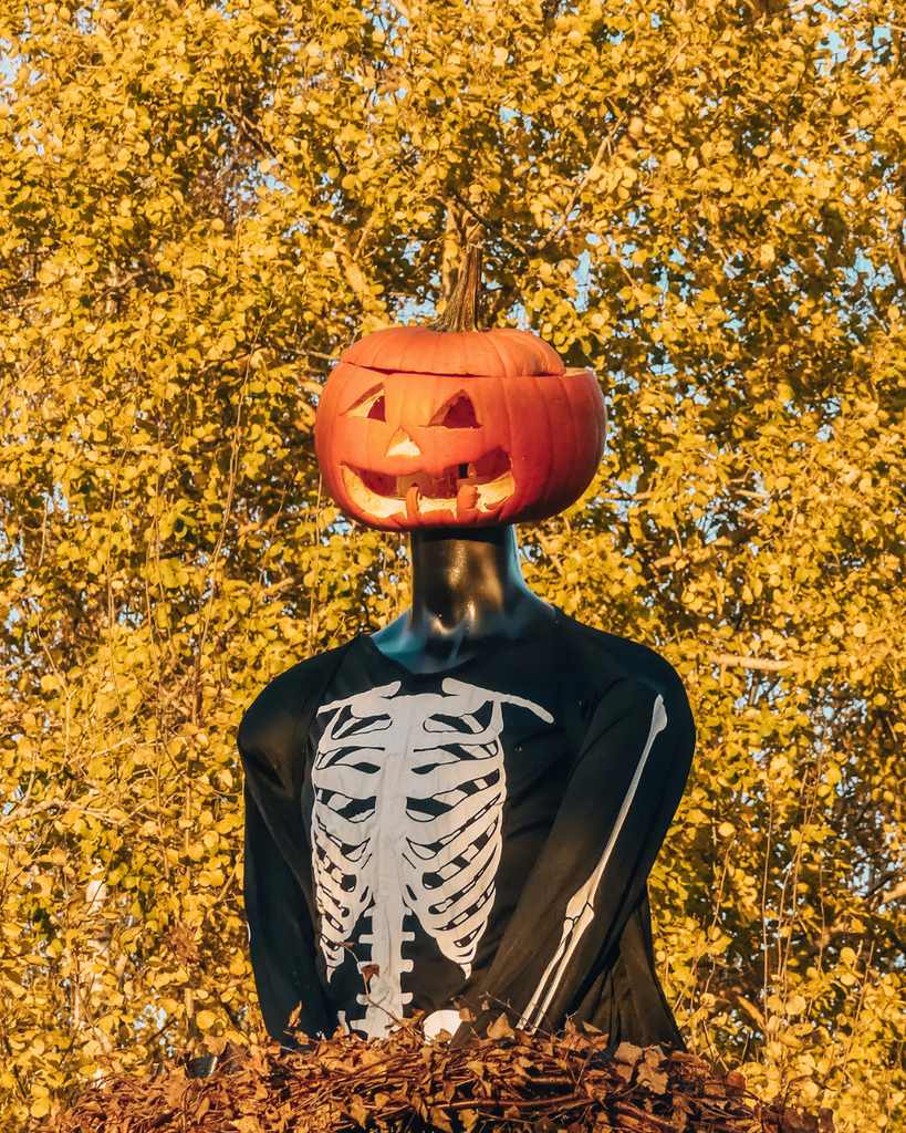 Skeleton Halloween decoration at Salo Pumpkin Park in Finland.