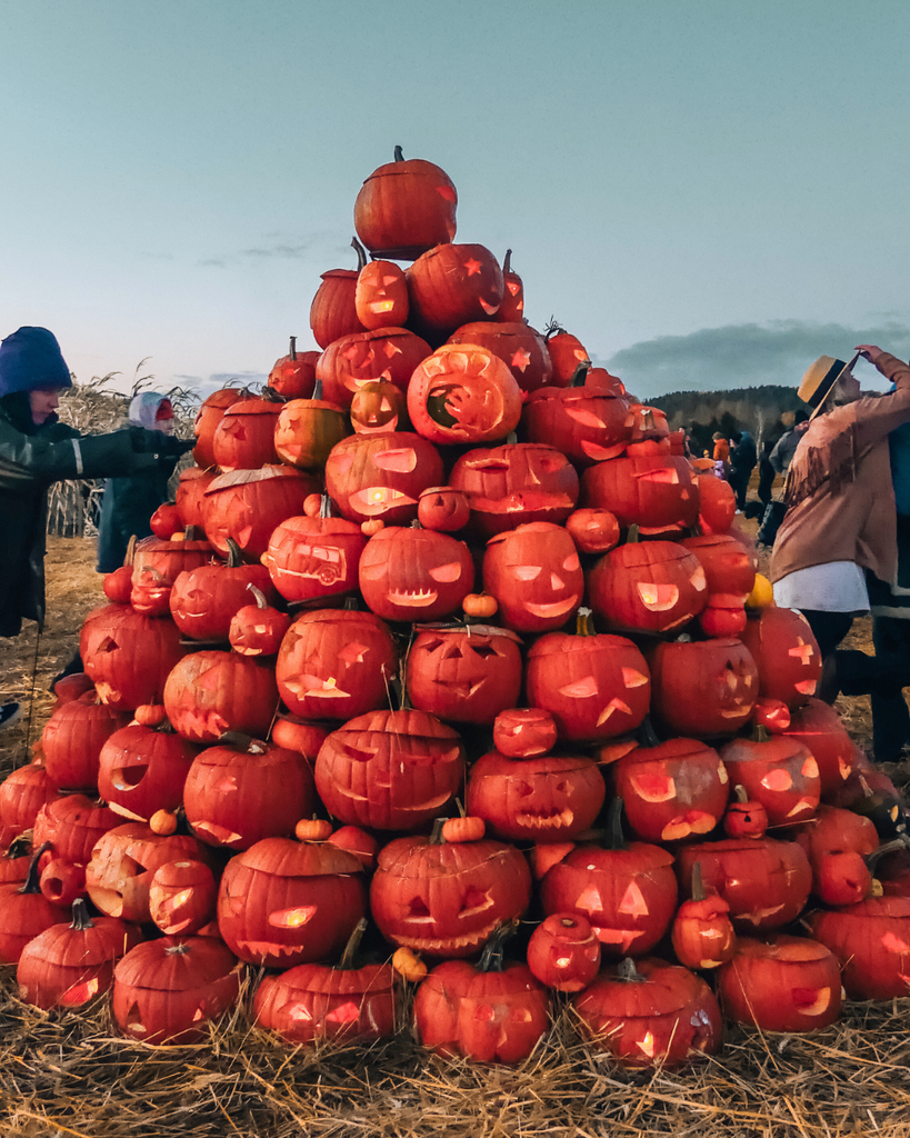 Illuminated pumpkins at Salo Pumpkin Park in Finland after dark during Salo Pumpkin Weeks.