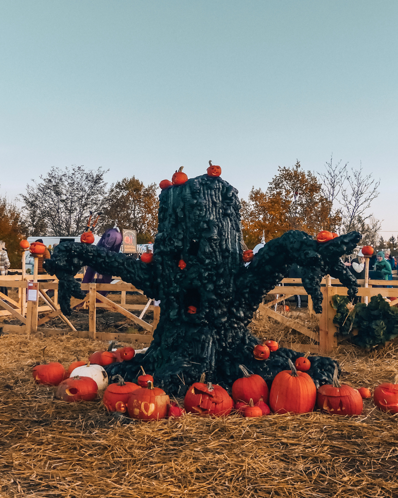 Pumpkin-themed Halloween decoration at Salo Pumpkin Park in Finland.
