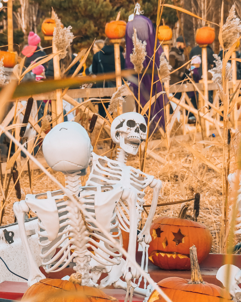 Skeleton Halloween decoration at Salo Pumpkin Park in Finland during Salo Pumpkin Weeks.