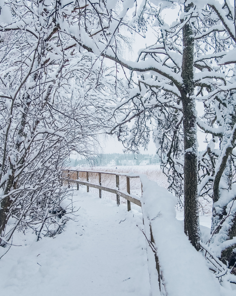 A snow-covered path leading into a Finnish forest, with a bridge crossing the water nearby in winter.