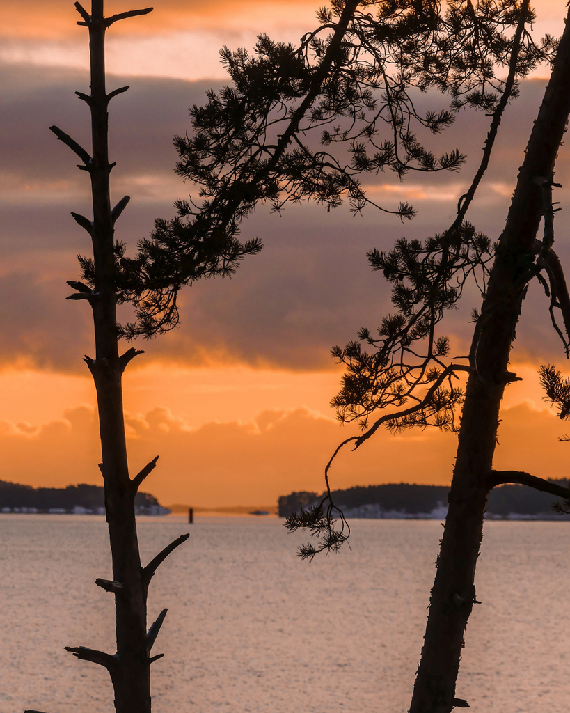 Winter sunset over the sea in Ruissalo, Turku, with trees silhouetted against the colorful sky.
