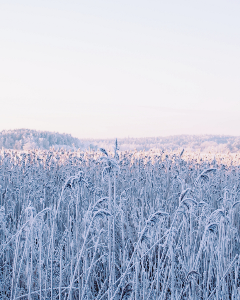 Frozen winter landscape by the sea in Finland, with snow and ice covering the shoreline.