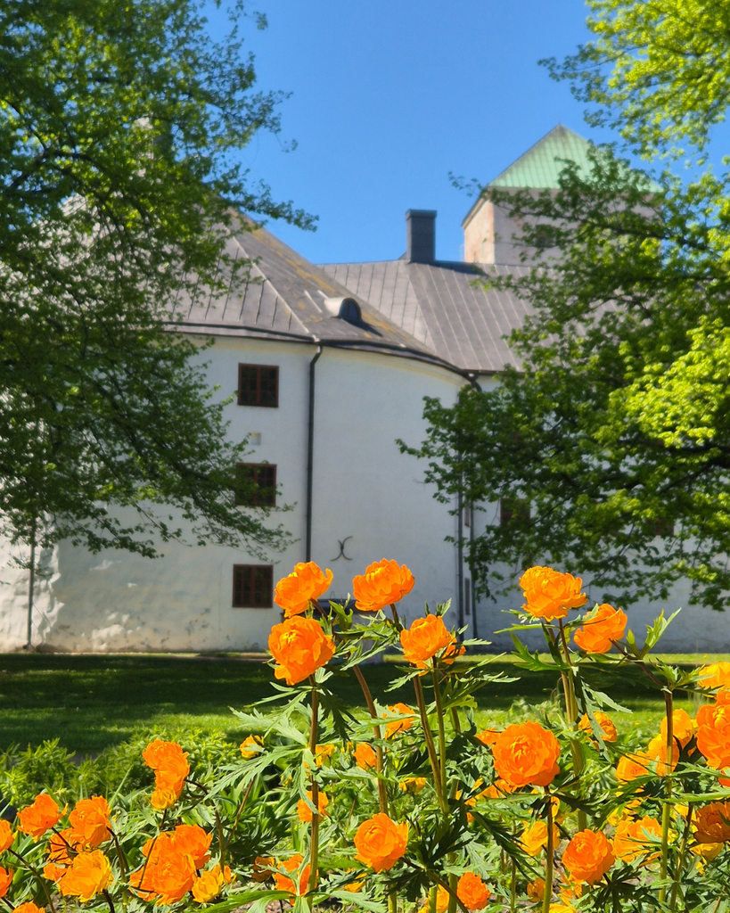 Summer flowers growing in front of Turku Castle on a sunny day in Turku, Finland.