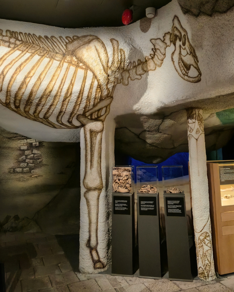 Archaeological exhibits showcasing medieval life in Turku at Aboa Vetus museum, Finland.