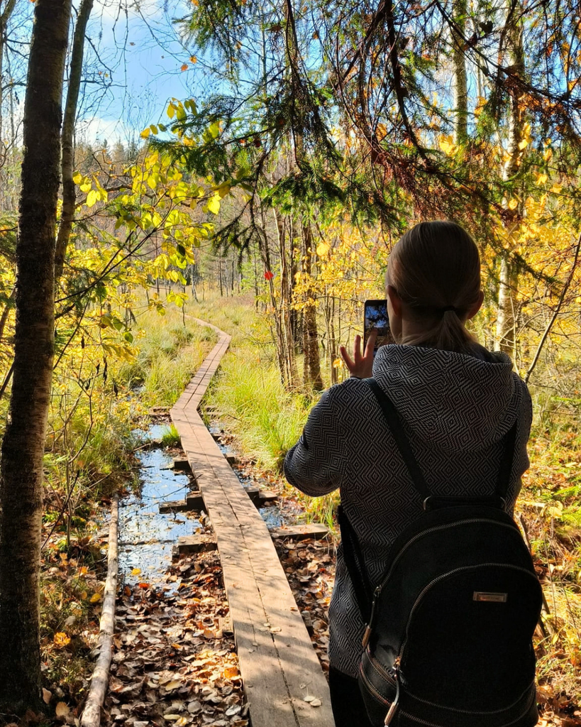 Wooden boardwalk trail surrounded by forest and wetlands in Kurjenrahka National Park, Southwest Finland.