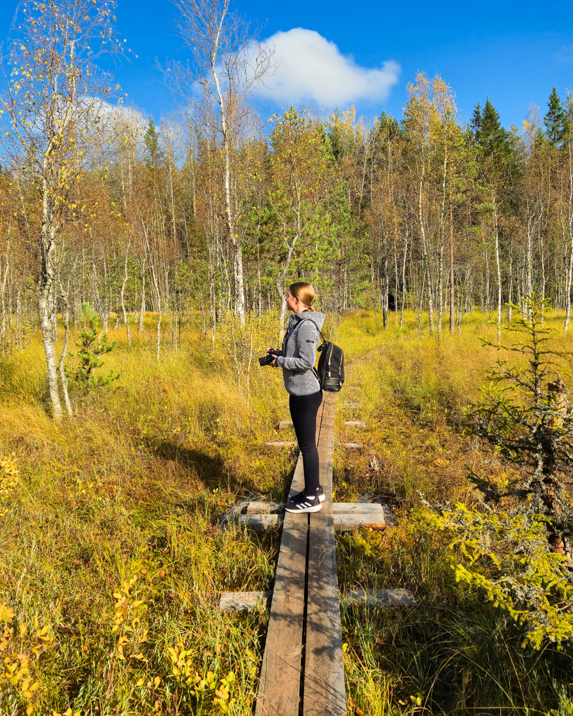 Kurjenrahka National Park, Finland: Trails, Tips & How to Visit