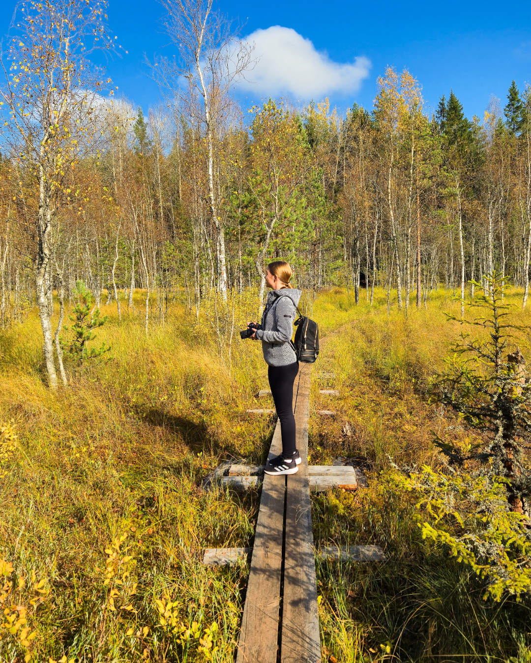 Kurjenrahka National Park, Finland: Trails, Tips & How to Visit