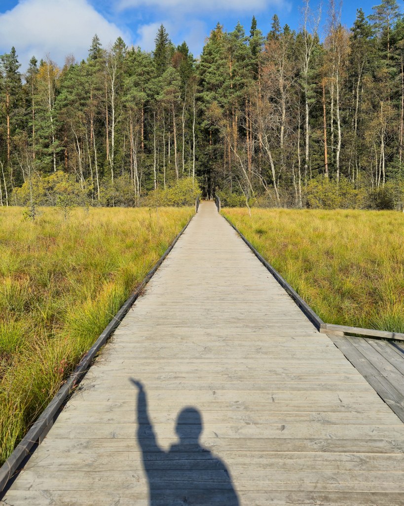 Wide wooden boardwalk stretching through the wetlands at Kurjenrahka National Park, with the photographer’s shadow visible on the boards.